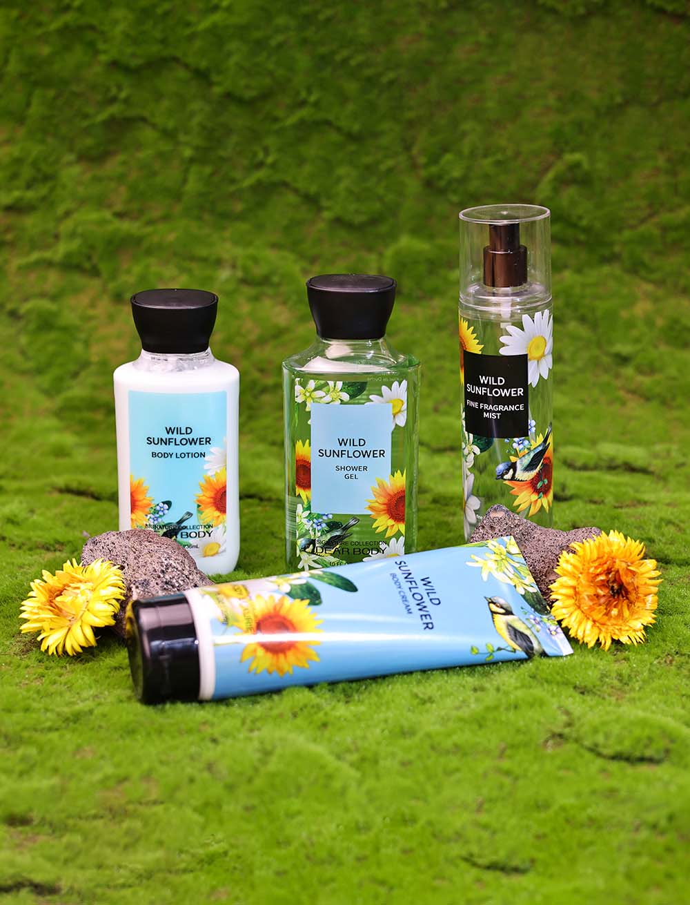 Wild Sunflower Set
