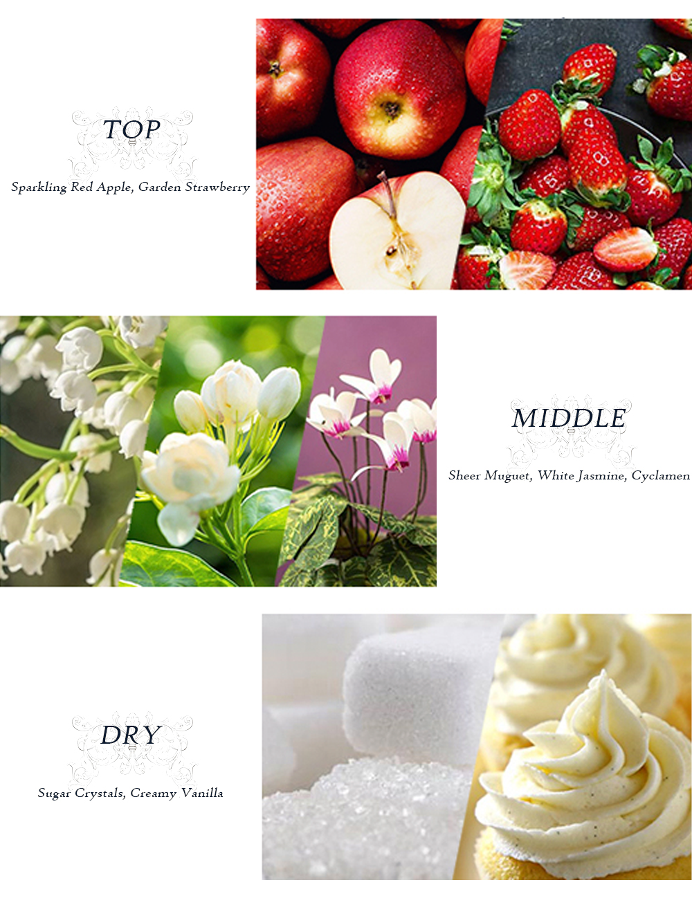 Malibu Lemon Blossom Body Lotion