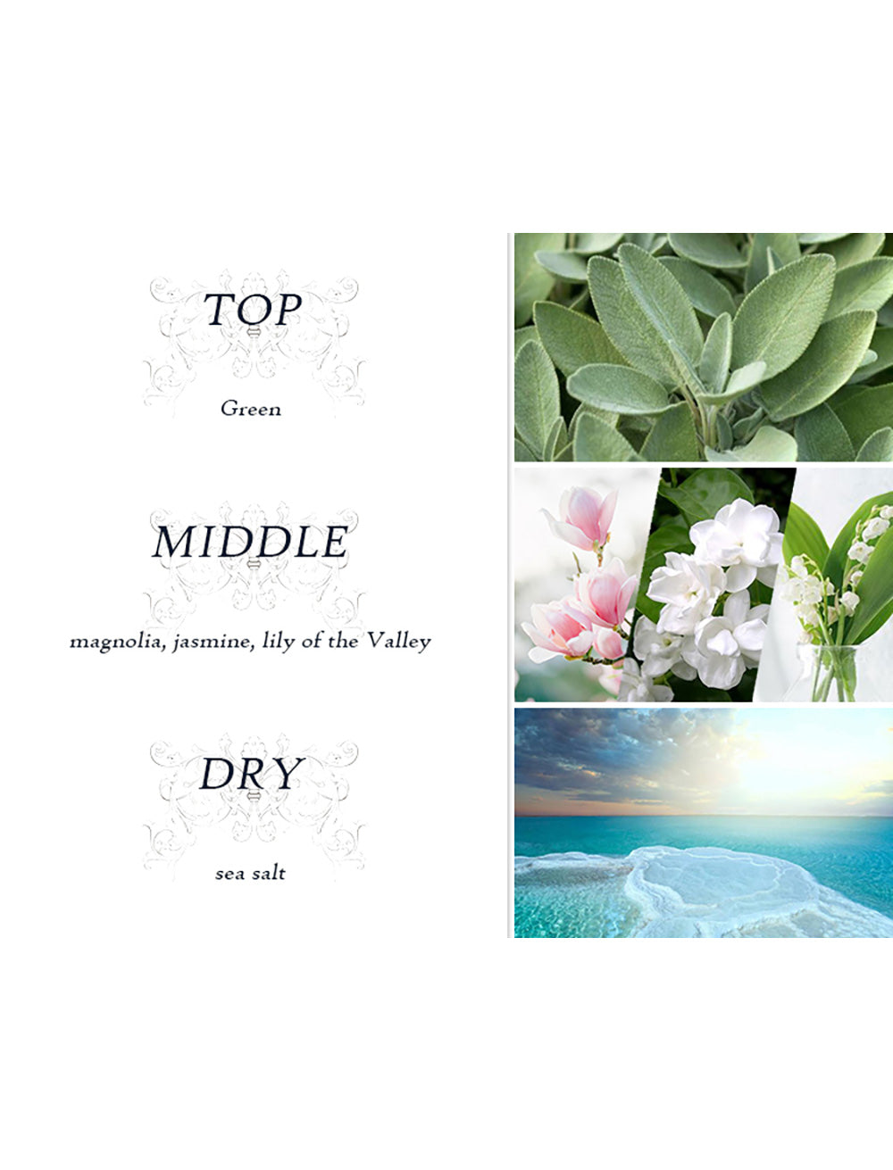 Cherish The Moment Fine Fragrance Mist